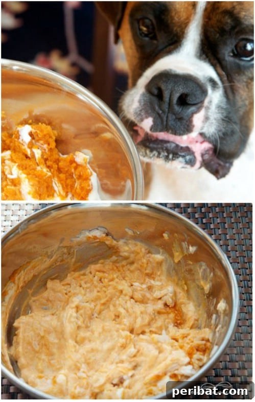 25 Tail-Wagging Homemade Healthy Dog Food Recipes Your Pup Will Adore 13 Homemade Healing Mash for Dogs with Upset Stomachs
