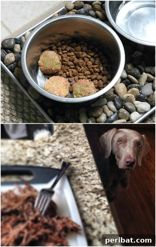 25 Tail-Wagging Homemade Healthy Dog Food Recipes Your Pup Will Adore 16 Simple Homemade Raw Dog Food Recipe for Optimal Health