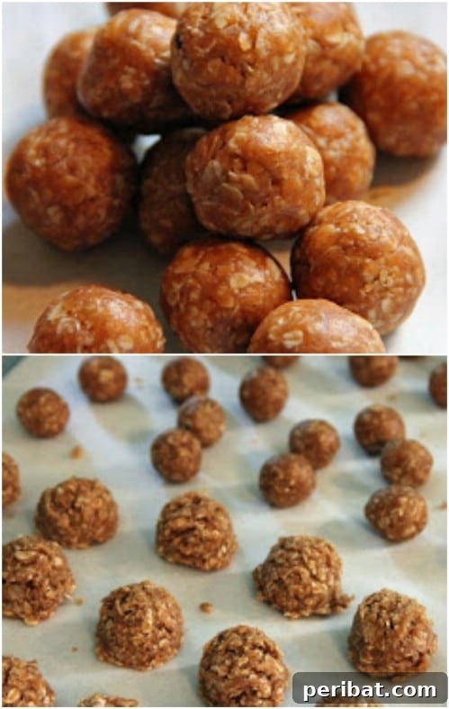 25 Tail-Wagging Homemade Healthy Dog Food Recipes Your Pup Will Adore 17 DIY No-Bake Doggie Treats with Peanut Butter and Oats