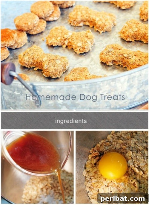 25 Tail-Wagging Homemade Healthy Dog Food Recipes Your Pup Will Adore 19 Beef Flavored Homemade Dog Treats with Oatmeal