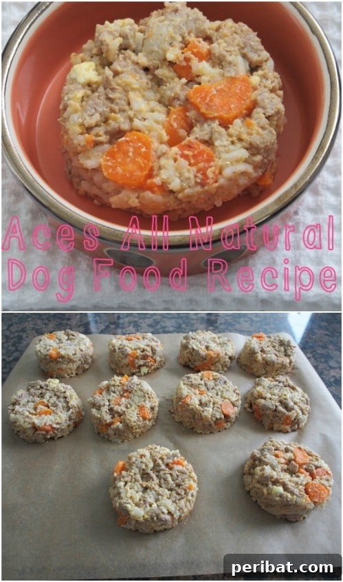25 Tail-Wagging Homemade Healthy Dog Food Recipes Your Pup Will Adore 20 Organic Homemade Dog Food Recipe for All Ages