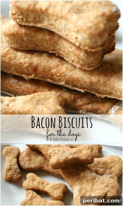 25 Tail-Wagging Homemade Healthy Dog Food Recipes Your Pup Will Adore 3 Yummy Bacon Dog Biscuits - Healthy Homemade Dog Treats