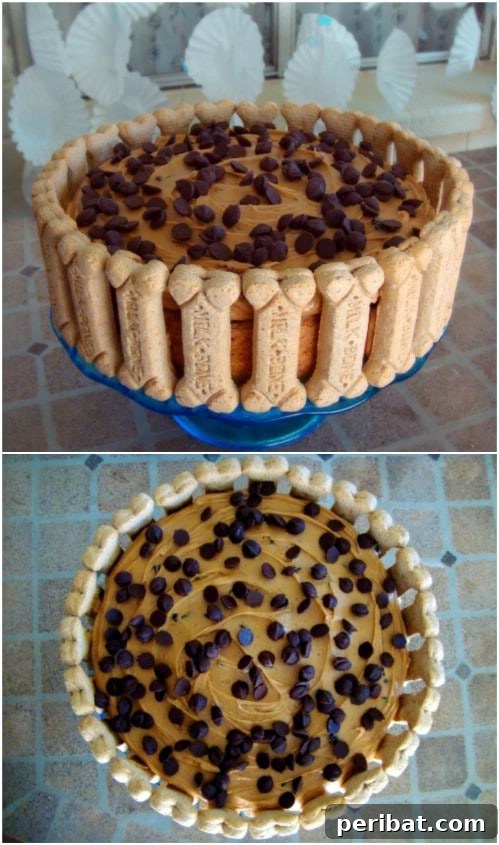 25 Tail-Wagging Homemade Healthy Dog Food Recipes Your Pup Will Adore 22 Puppy Banana Carob Cake with Peanut Butter Frosting
