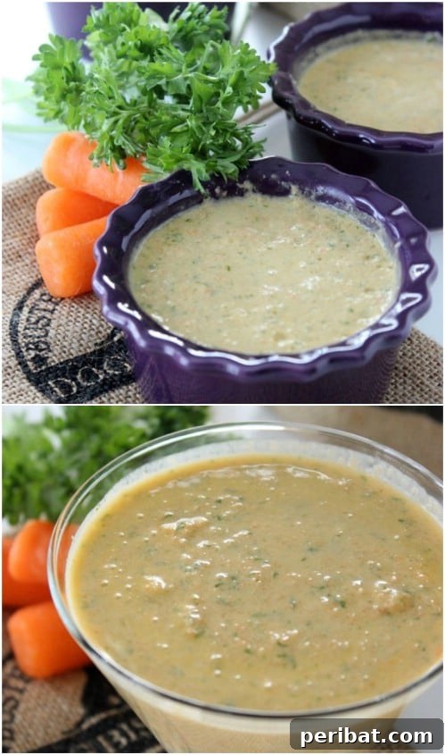 25 Tail-Wagging Homemade Healthy Dog Food Recipes Your Pup Will Adore 24 DIY Power Smoothies for Dogs - Healthy Frozen Treats