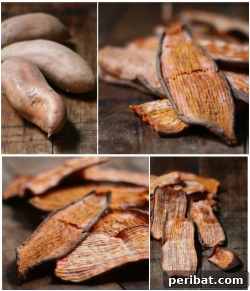 25 Tail-Wagging Homemade Healthy Dog Food Recipes Your Pup Will Adore 25 Sweet Potato Dog Chews - Single Ingredient Dog Treat
