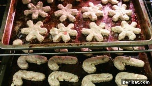 25 Tail-Wagging Homemade Healthy Dog Food Recipes Your Pup Will Adore 26 Cranberry And Turkey Doggie Bones - Holiday Dog Treats