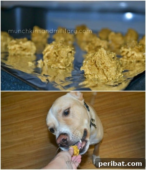 25 Tail-Wagging Homemade Healthy Dog Food Recipes Your Pup Will Adore 27 Easy Two-Ingredient Dog Treats with Oatmeal and Baby Food