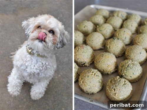 25 Tail-Wagging Homemade Healthy Dog Food Recipes Your Pup Will Adore 4 Homemade Chicken And Spinach Dog Food Recipe