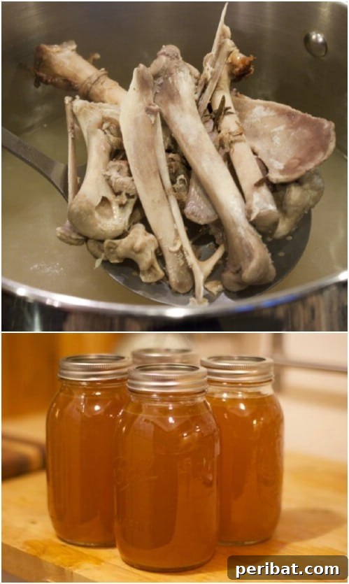 25 Tail-Wagging Homemade Healthy Dog Food Recipes Your Pup Will Adore 5 DIY Bone Broth for Dog Health