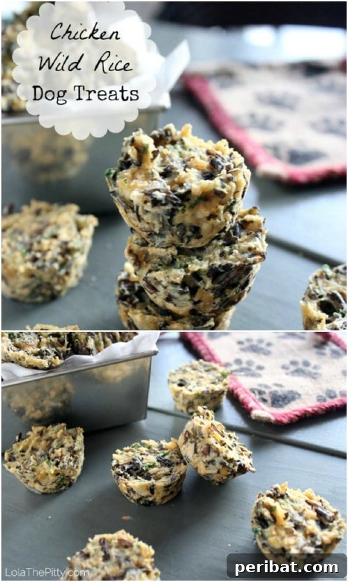 25 Tail-Wagging Homemade Healthy Dog Food Recipes Your Pup Will Adore 6 Healthy Chicken And Wild Rice Dog Treats