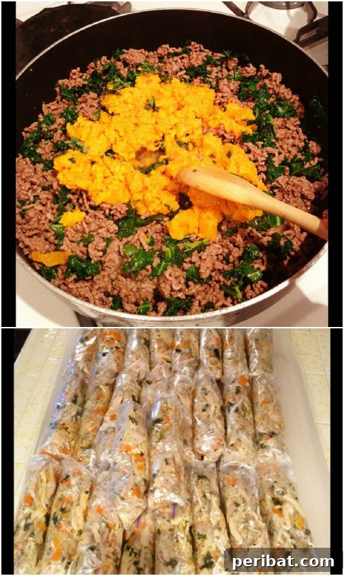 25 Tail-Wagging Homemade Healthy Dog Food Recipes Your Pup Will Adore 7 Easy Protein-Packed Homemade Dog Food