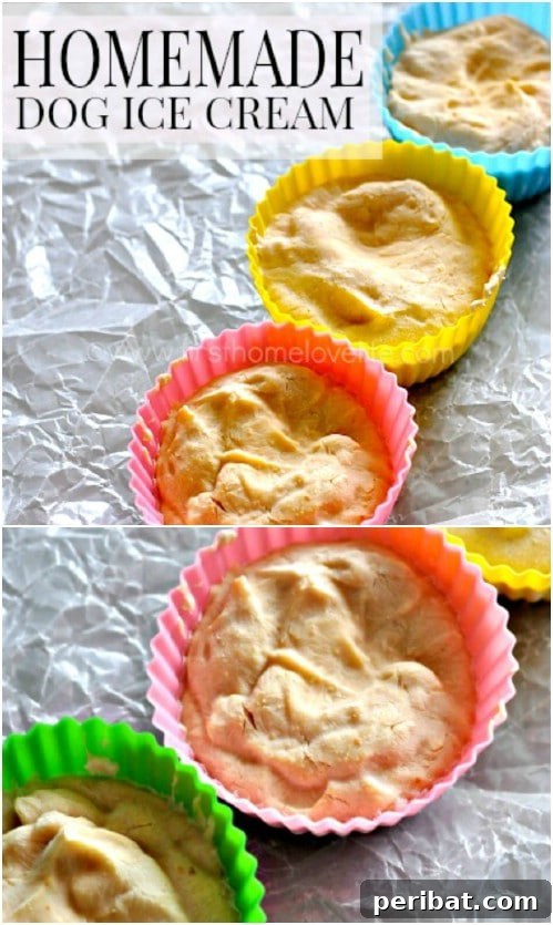 25 Tail-Wagging Homemade Healthy Dog Food Recipes Your Pup Will Adore 9 Delightful Doggie Ice Cream for Hot Days