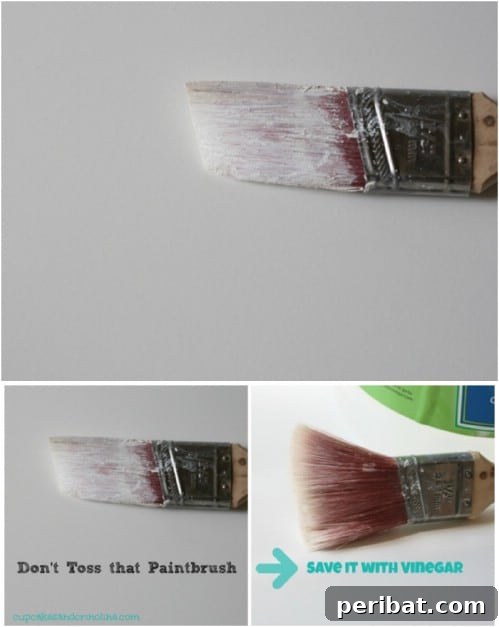 How to Deep Clean Paint Brushes with Household Items