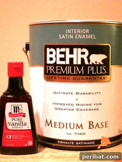 Natural Ways to Eliminate Paint Fumes During Home Painting