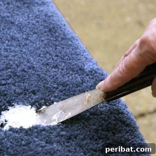 20 Mind-Blowing Carpet Transformations 17 Putty Knife Cleaner