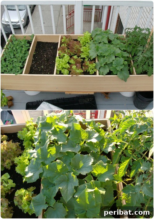30 Ingenious Bookcase Upcycle Projects 6 DIY Bookcase Container Garden for urban gardening.