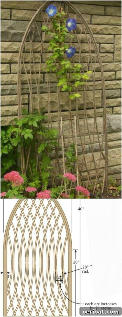 DIY Twig Trellis