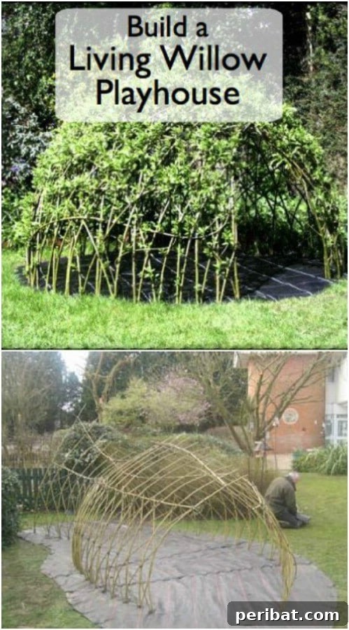 Living Willow Playhouse