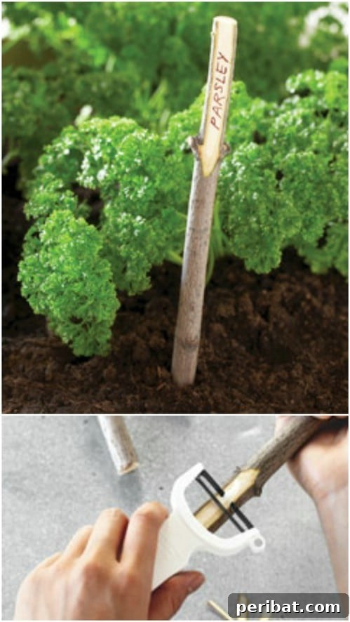 DIY Twig Plant Markers