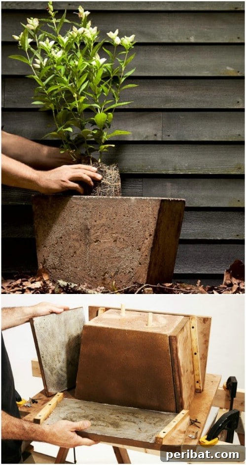 40 Concrete Wonders: Ingenious Projects to Build Today 33 Large and affordable DIY concrete garden planter for outdoor greenery