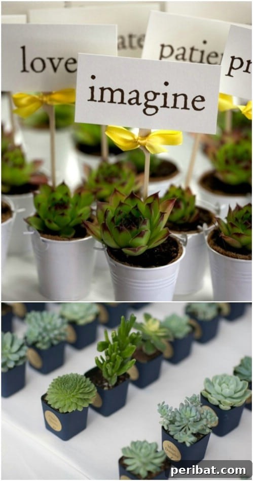 Clever Handmade Wedding Favors Your Guests Will Keep 38 DIY Succulent Wedding Favors in Small Pots