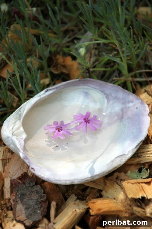 Tiny Treasures: DIY Decor for Whimsical Fairy Gardens 14 DIY Fairy Garden Tools