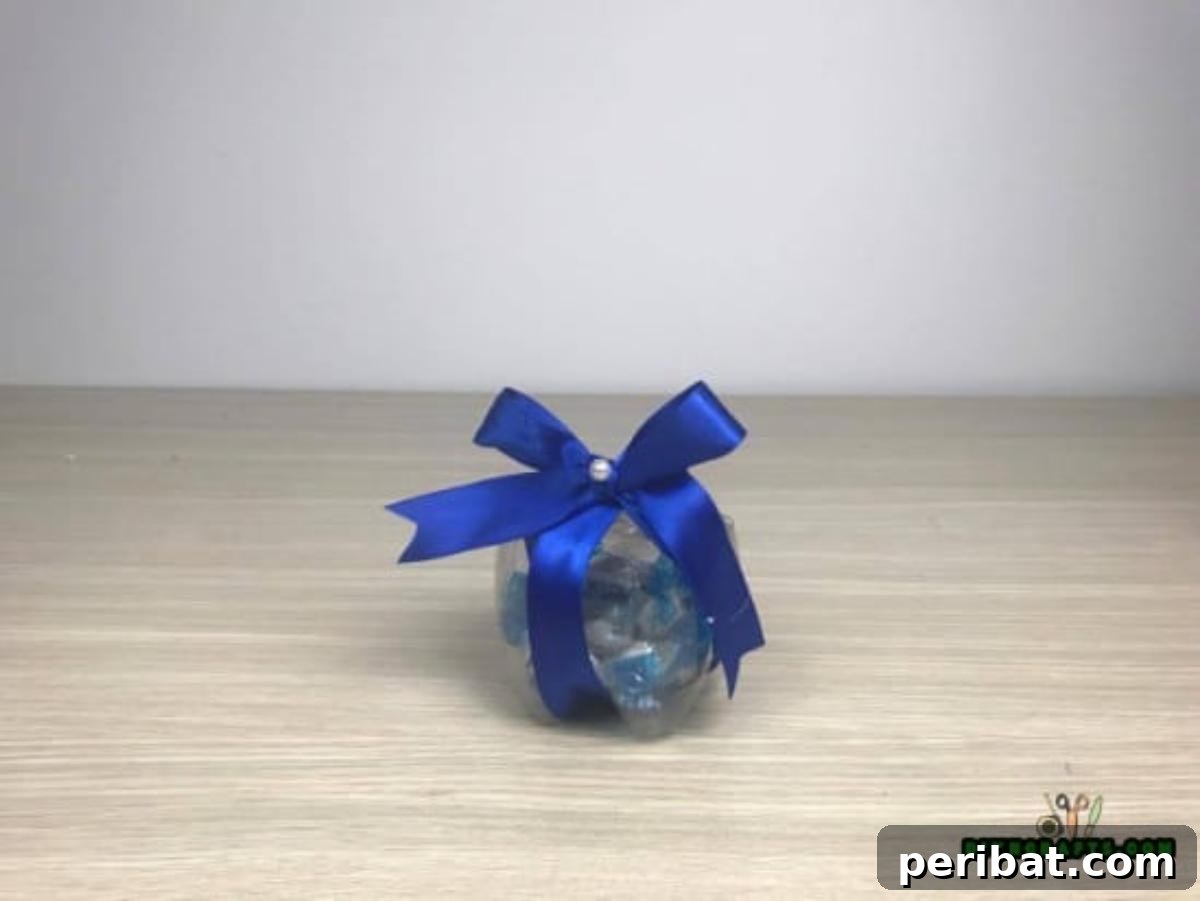 5 Creative Plastic Bottle Upcycling Projects Video Guide 11 Candy Container - 5 Creative DIY Projects for Upcycling Your Plastic Bottles {Video Tutorial}