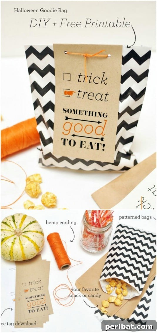 30 Easy & Budget-Friendly DIY Halloween Treat Bag Ideas 32 Easy DIY Zig Zag Halloween Candy Bag - Customizable DIY Treat Bag