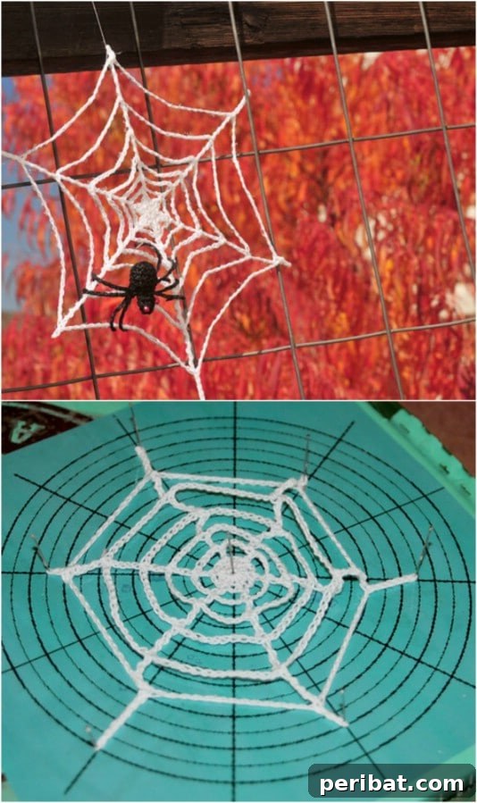 Easy Crochet Spider Web