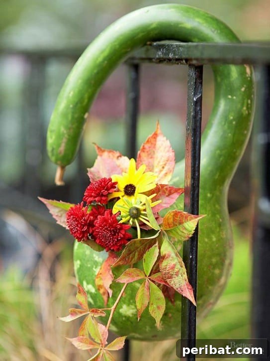 DIY Hanging Gourd Vase
