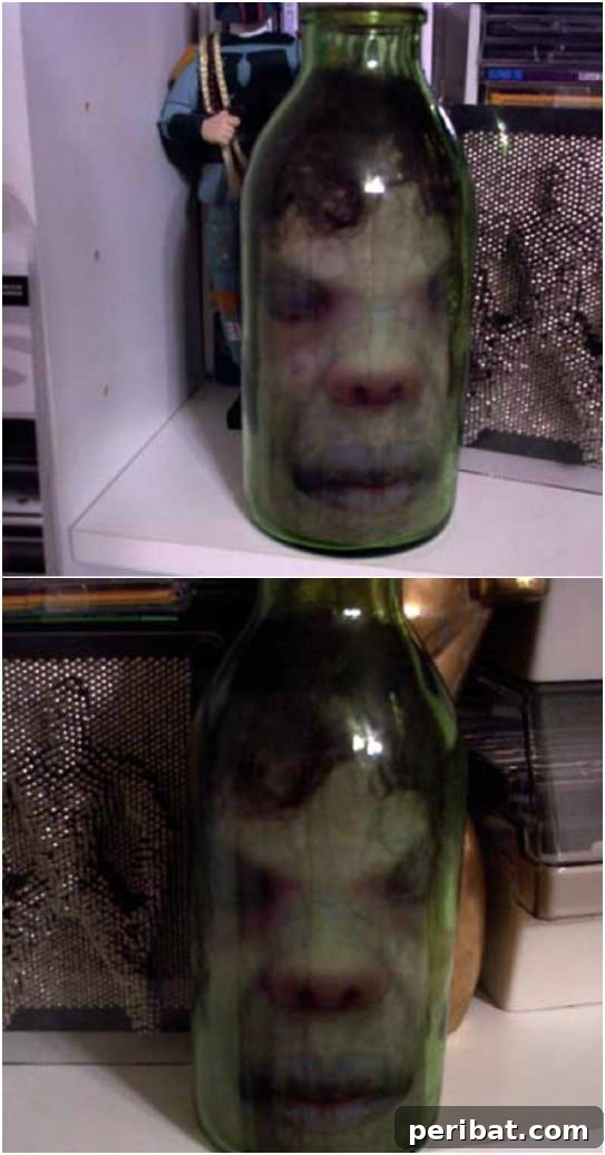 25 Spine-Chilling DIY Creations for Your Most Frightening Halloween 22 Creepy Head In A Jar