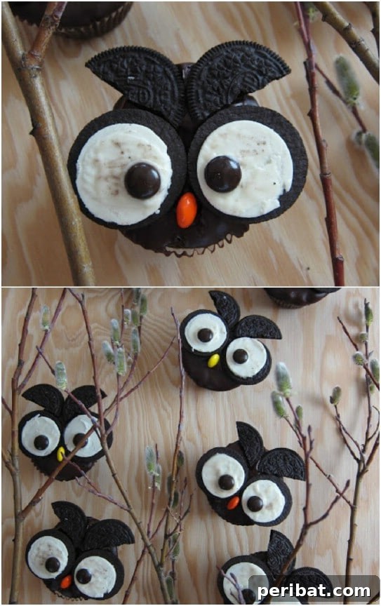 Frightfully Delicious: 30 Halloween Cupcakes for Your Ultimate Spooky Bash 22 Cute Owl Cupcakes