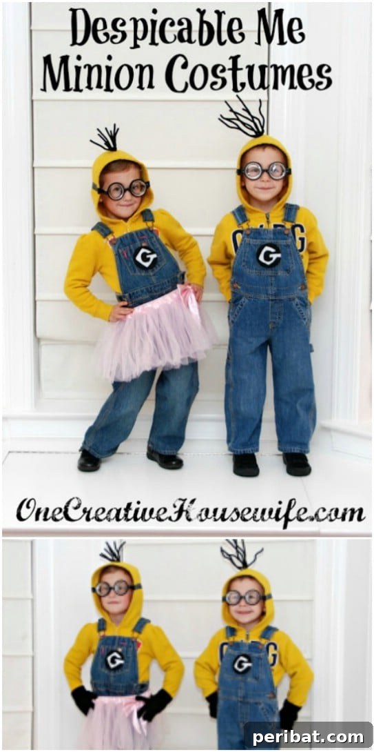 DIY Despicable Me Costumes