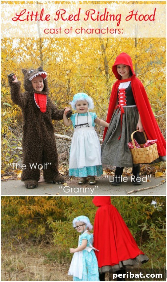 DIY Little Red Riding Hood Costumes