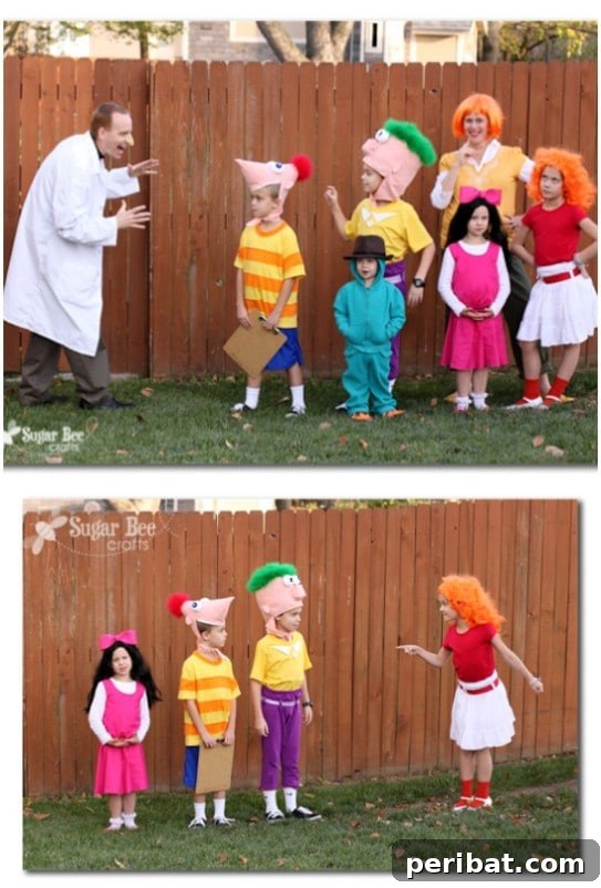 Fun Phineas And Ferb Family Costumes