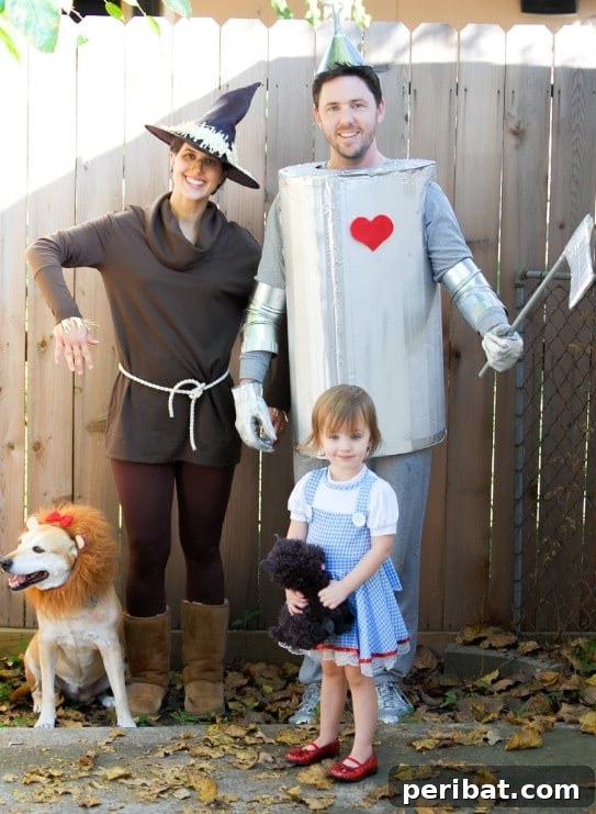 DIY Wizard Of Oz Costumes
