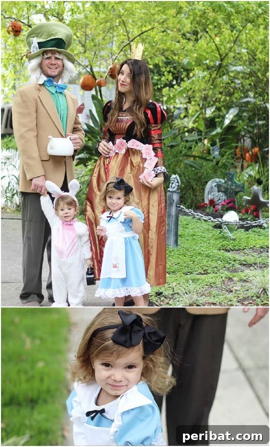Easy DIY Alice In Wonderland Costumes