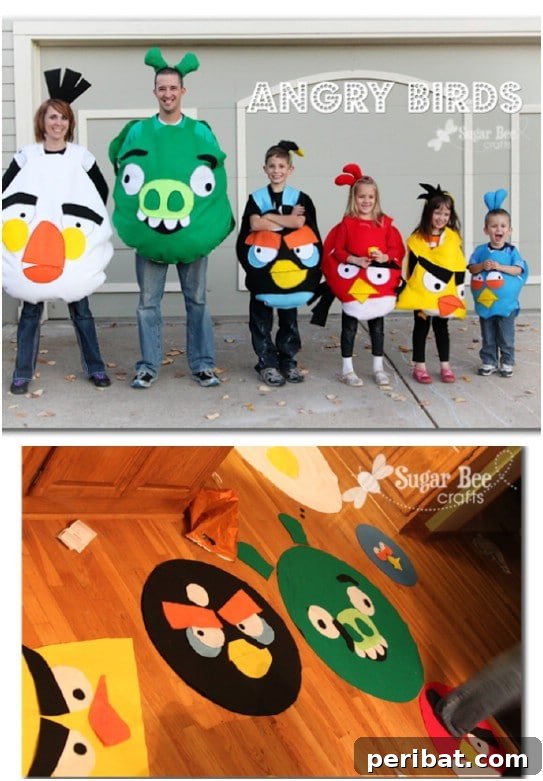 Family Of Angry Birds Costumes