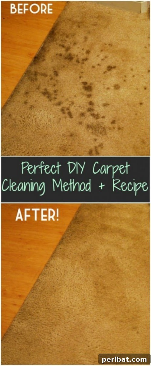 25 Brilliant DIY Tricks to Rejuvenate Worn-Out Treasures 7 Carpet Stain Remover And Refresher