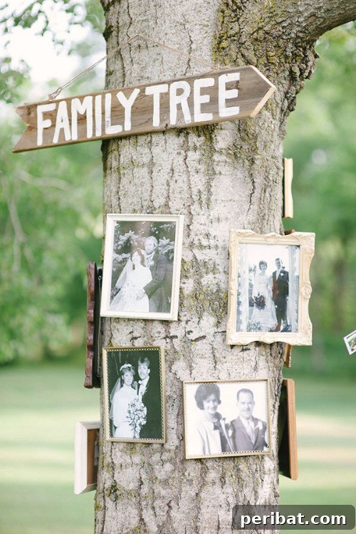 Enchanting Decorative Photo Frames On A Tree for Outdoor Weddings