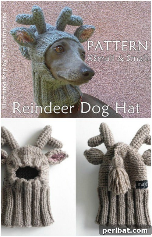 Speedy Knits: 25 Adorable Christmas Gift Ideas 22 Adorable Knit Dog Reindeer Hat for festive pets