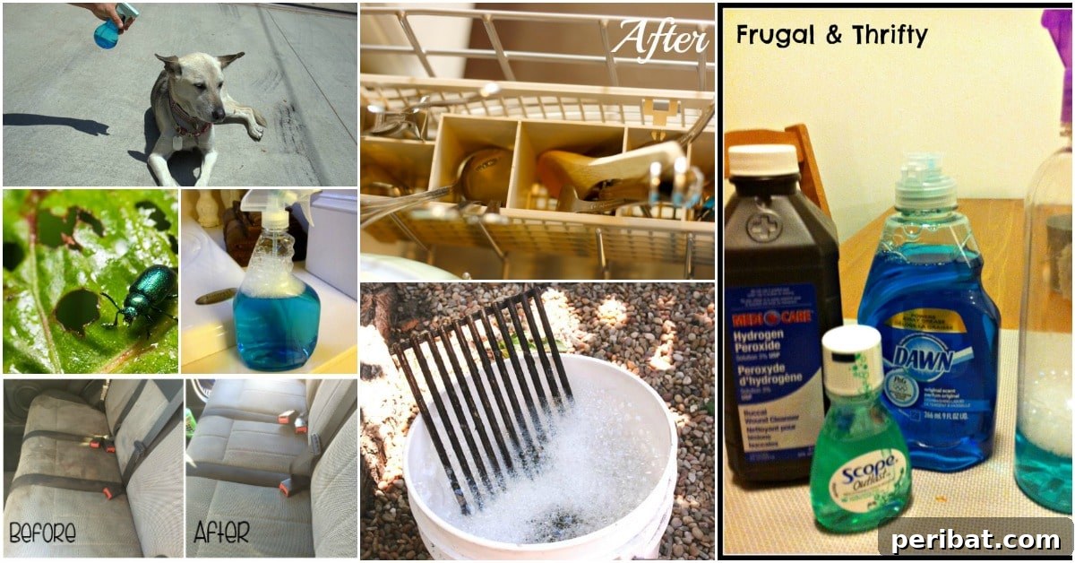 30 Clever Ways Dawn Dish Soap Can Transform Your Home 2 30 Frugal Uses For Dawn Dish Soap That Will Simplify Your Life