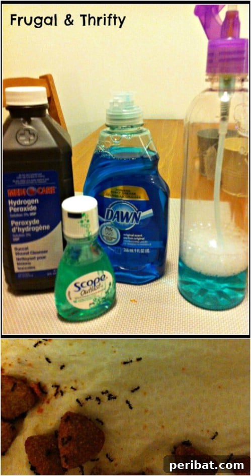 30 Clever Ways Dawn Dish Soap Can Transform Your Home 3 Homemade Ant Repellent Spray with Dawn Dish Soap