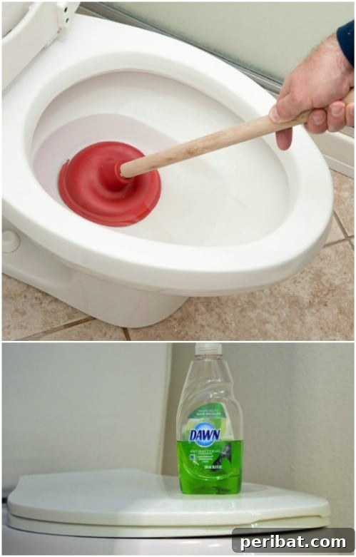 30 Clever Ways Dawn Dish Soap Can Transform Your Home 26 Safe and Effective Toilet Unclogger with Dawn Dish Soap