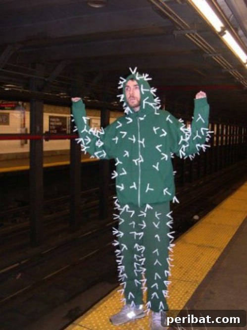 Creative DIY Cactus Costume
