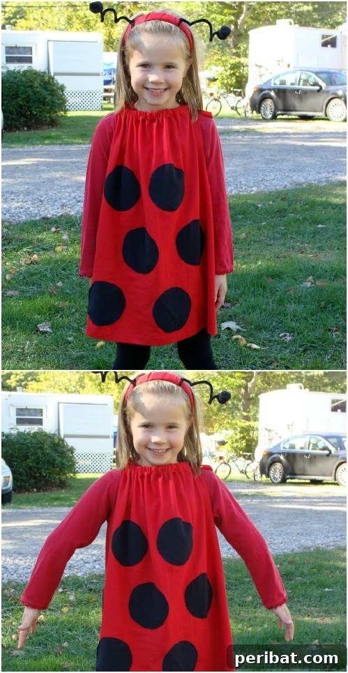 Fast DIY Ladybug Costume