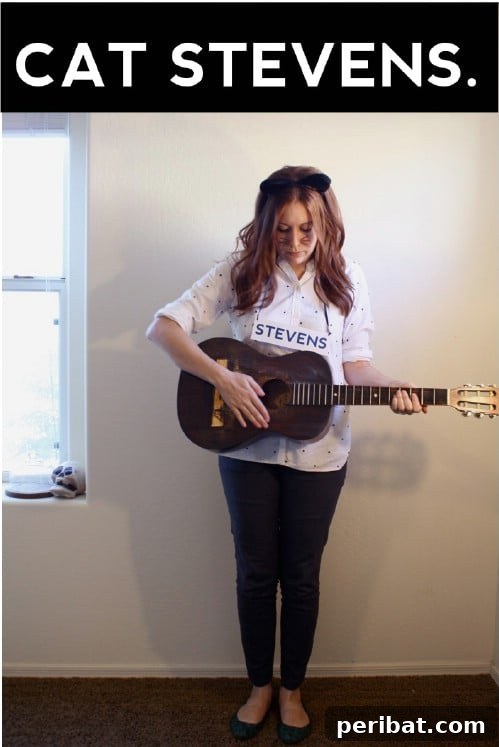 Punny Cat Stevens Musician Costume
