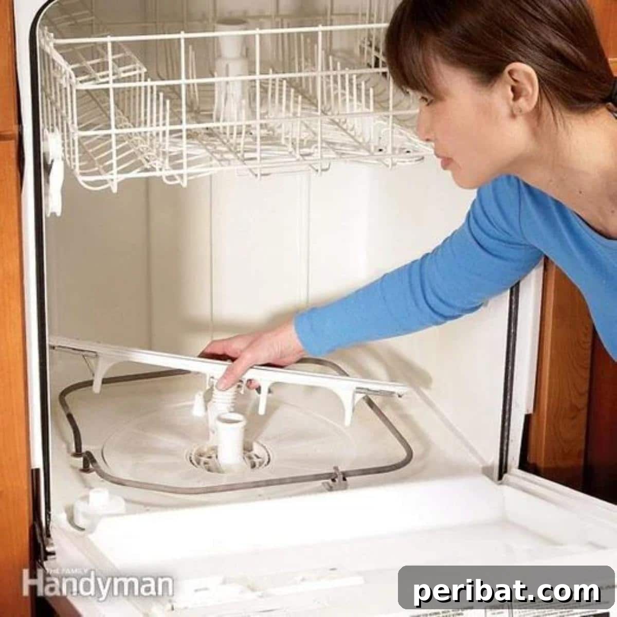 3 Must-Know DIY Dishwasher Care Methods 3 A woman is cleaning a dishwasher's spray arm, focusing on clearing potential blockages.