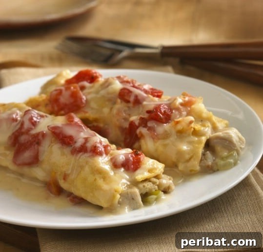 Turkey And Stuffing Enchiladas