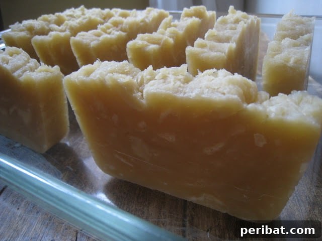 25 Coconut Oil Hacks to Replace All Your Health and Beauty Essentials 28 DIY Shampoo Bar Soap for Healthy Hair